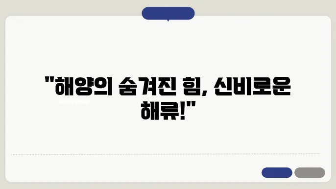 해양 유체역학과 해류 분석
