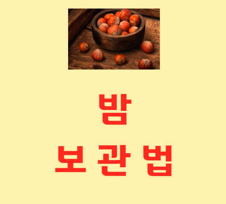  밤 보관하는 방법