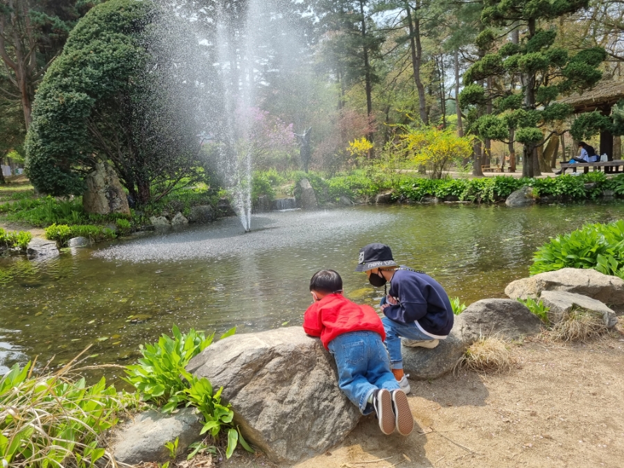남이섬 배시간표 남이섬 배시간표, 할인 방법, 45