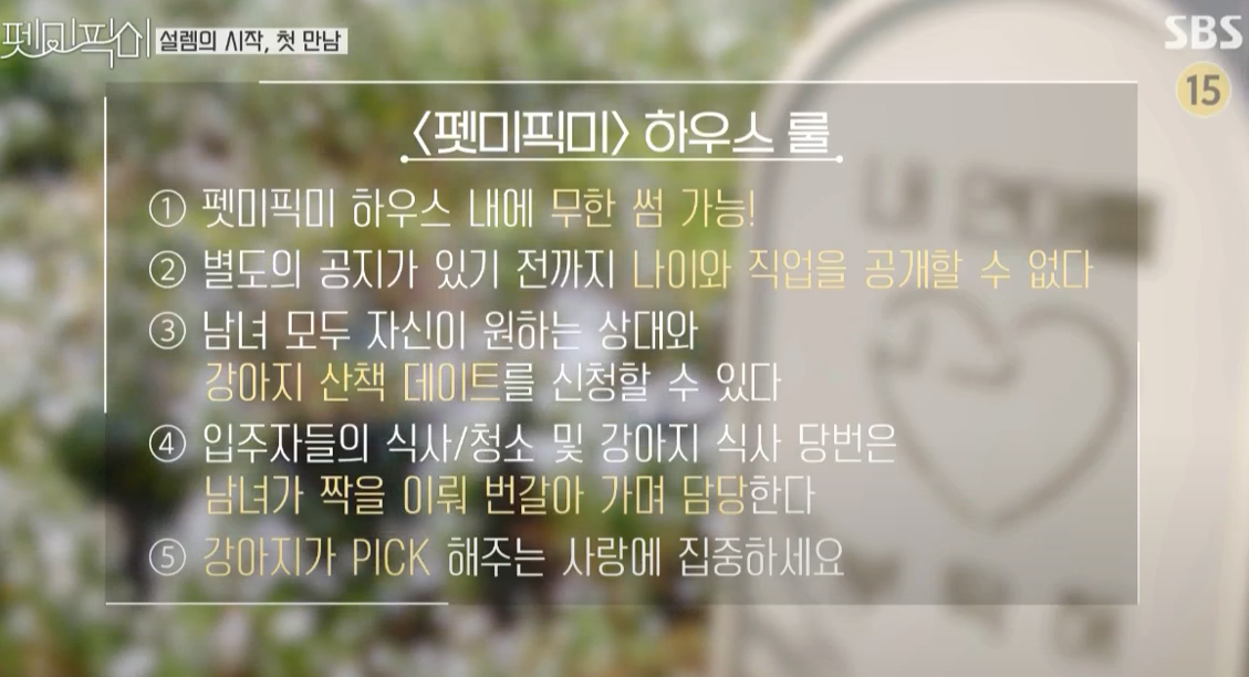  펫미픽미 1화후기