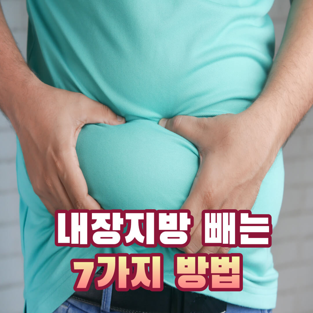 내장지방 빼는 7가지 방법