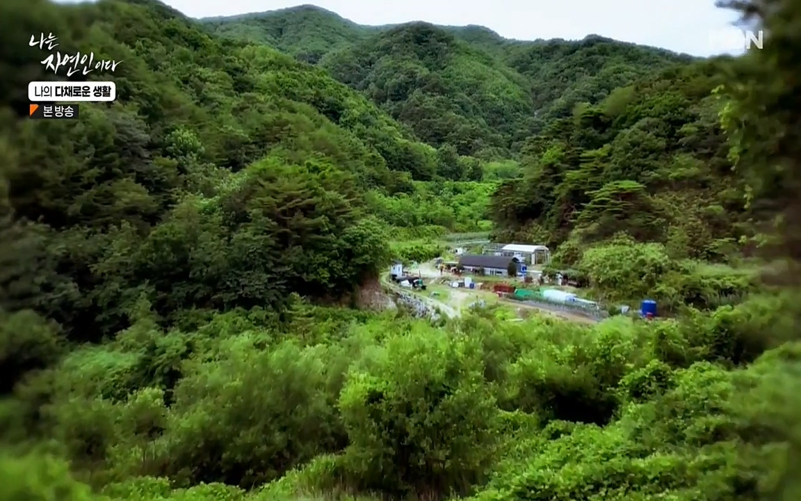 나는 자연인이다.E513.220804p-NEXT.mp4_20220804_201948.244.jpg