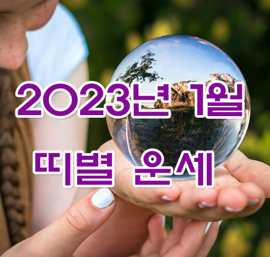 2023년 1월 띠별 운세