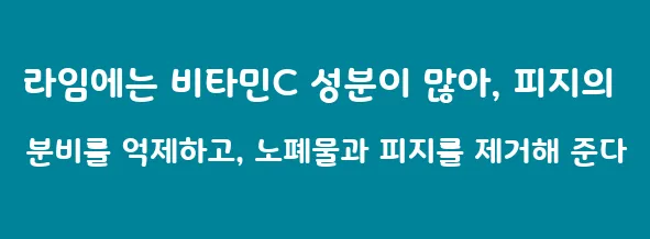 라임에는 비타민C 성분이 많아, 피지의 분비를 억제하고, 노폐물과 피지를 제거해 준다