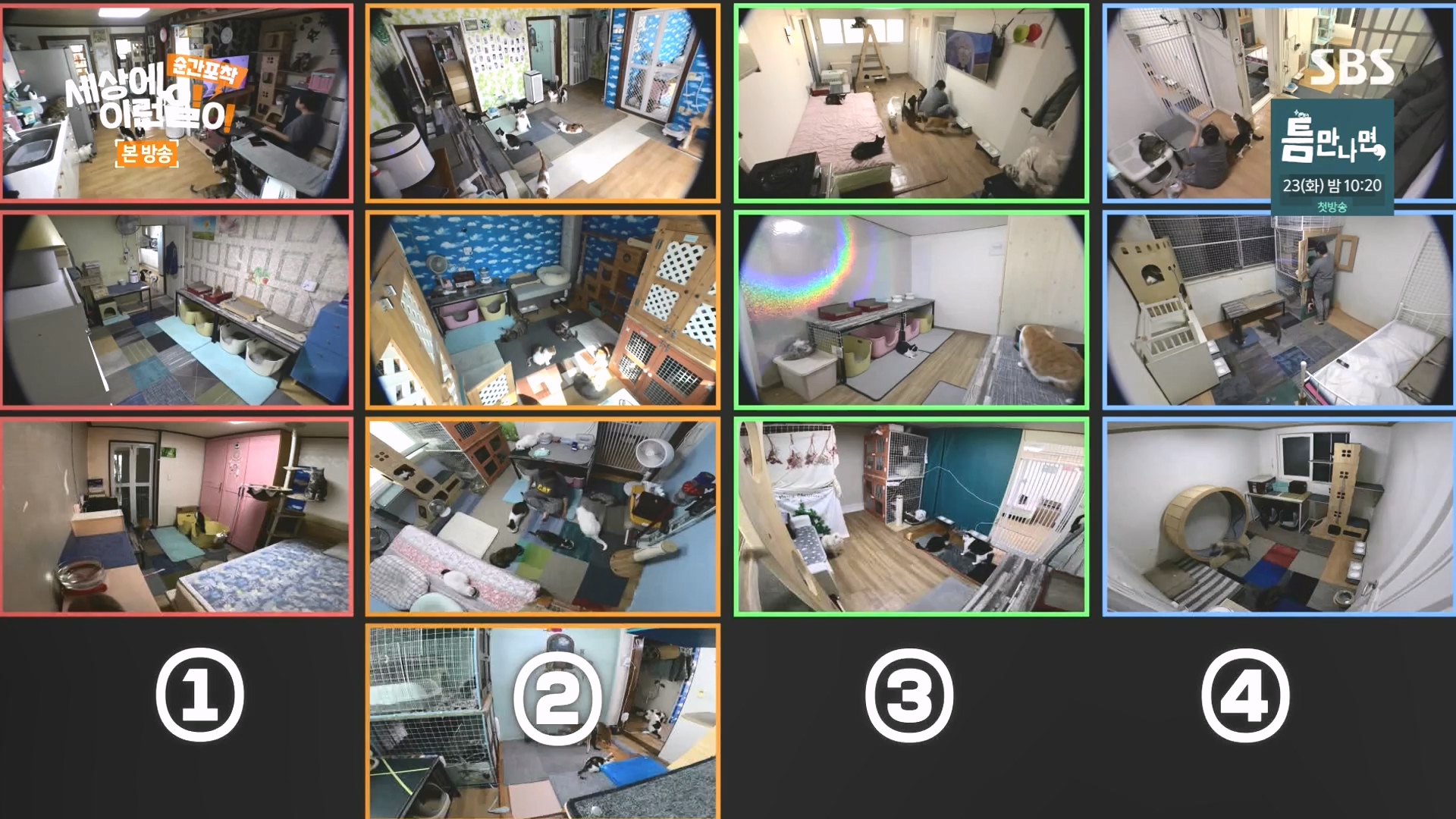 순간포착 세상에 이런일이.E1273.240413p-NEXT.mp4_20240414_135943.893.jpg