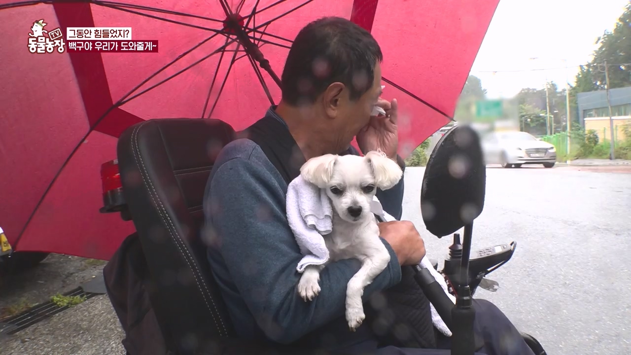 TV 동물농장.E1144.231106p-NEXT.mp4_20231105_180002.437.jpg