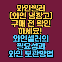  와인셀러(와인 냉장고) 구매 전 확인하세요! 와인셀러의 필요성과 와인 보관방법