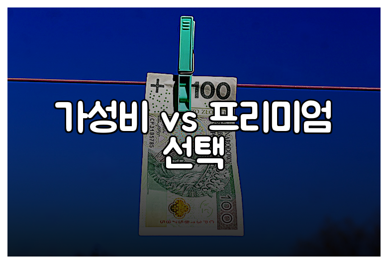 가성비 vs 프리미엄 선택