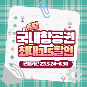 국내항공권할인