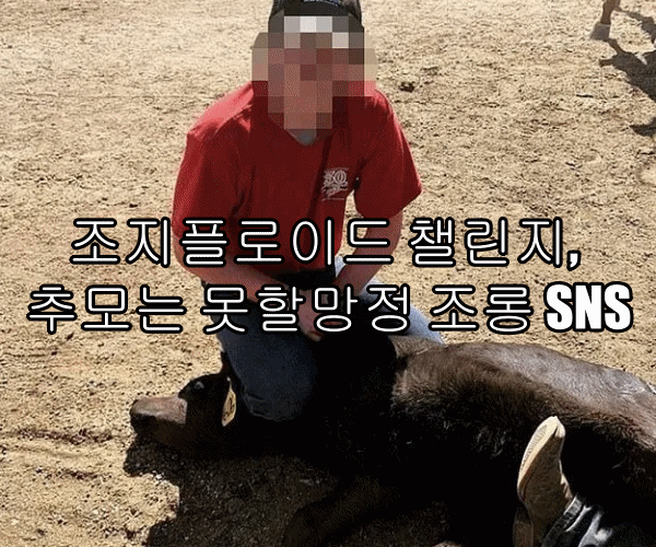  조지플로이드 챌린지, 추모는 못할망정 조롱 SNS