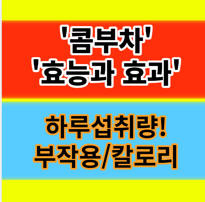  콤부차 하루섭취량 효능 부작용 칼로리 카페인 총정리