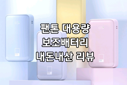 팬톤22.5W 대용량 배터리 내돈내산 리뷰