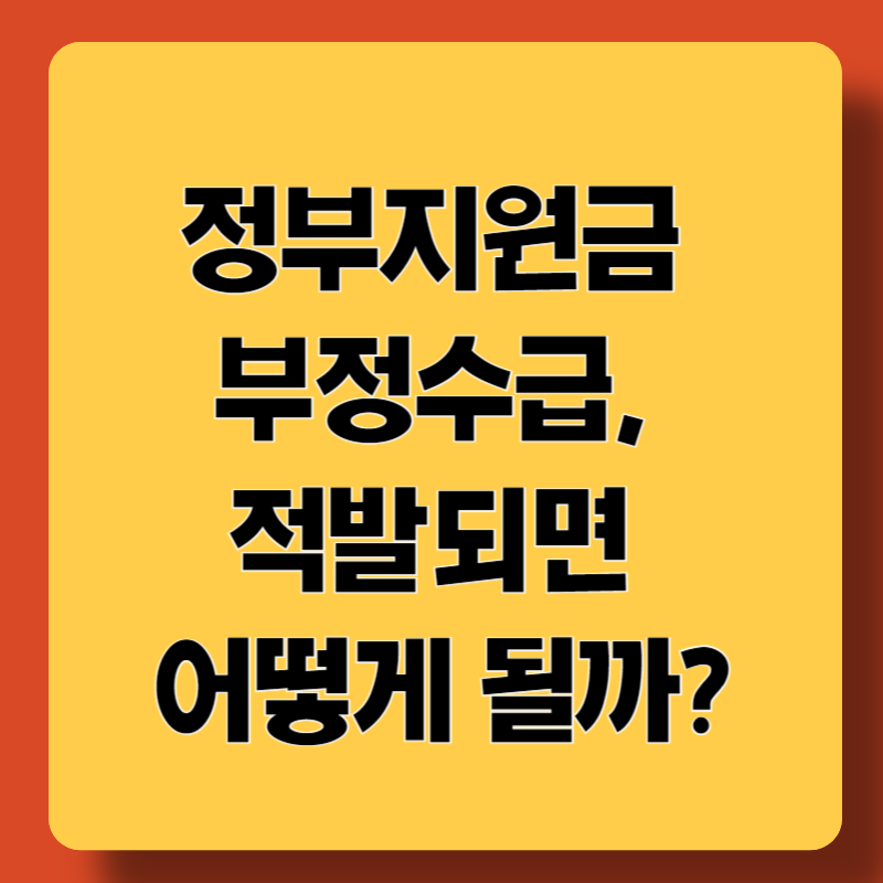정부지원금 부정수급 적발 관련 블로그 썸네일