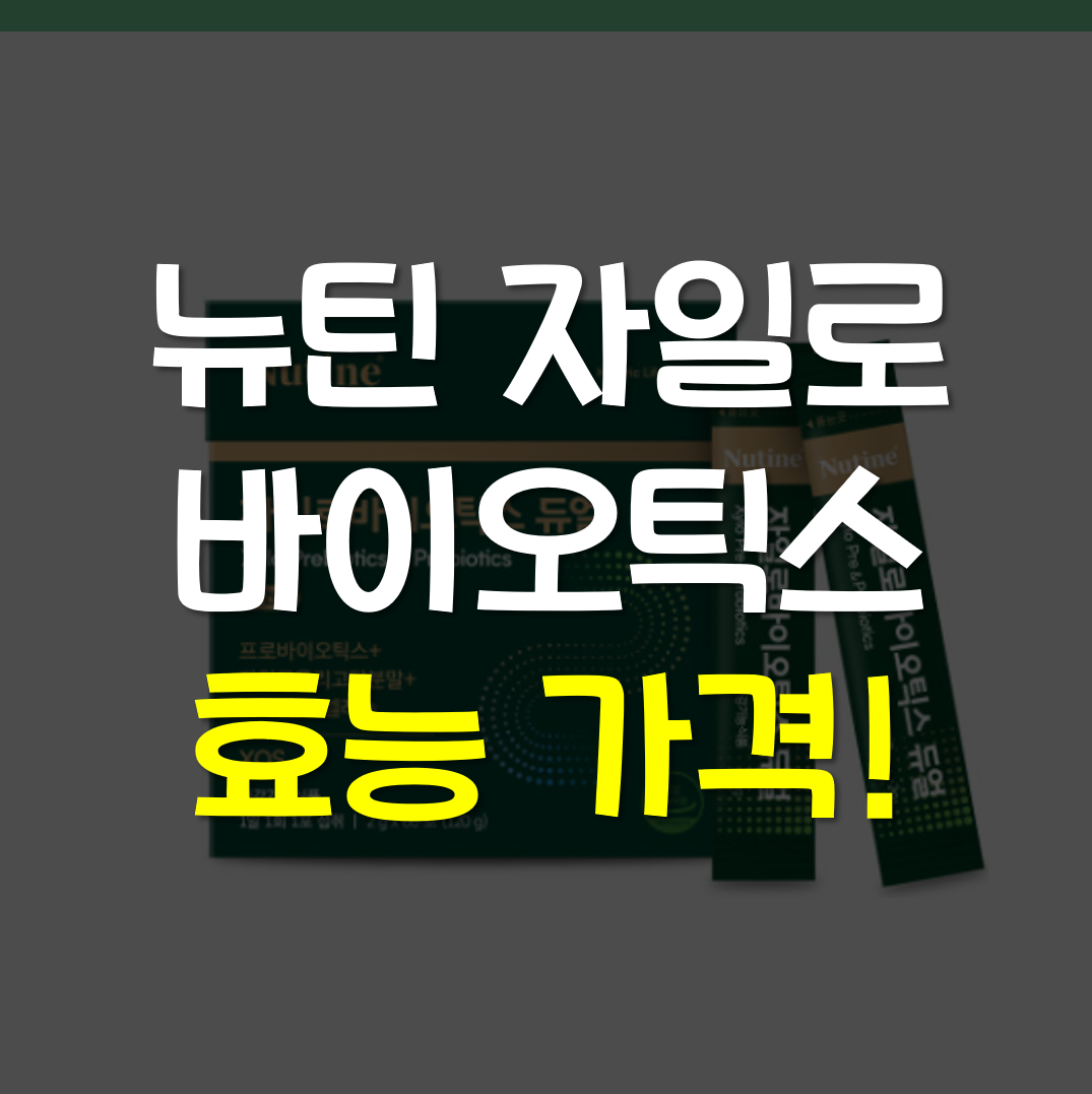  김수현 유산균 뉴틴 자일로바이오틱스