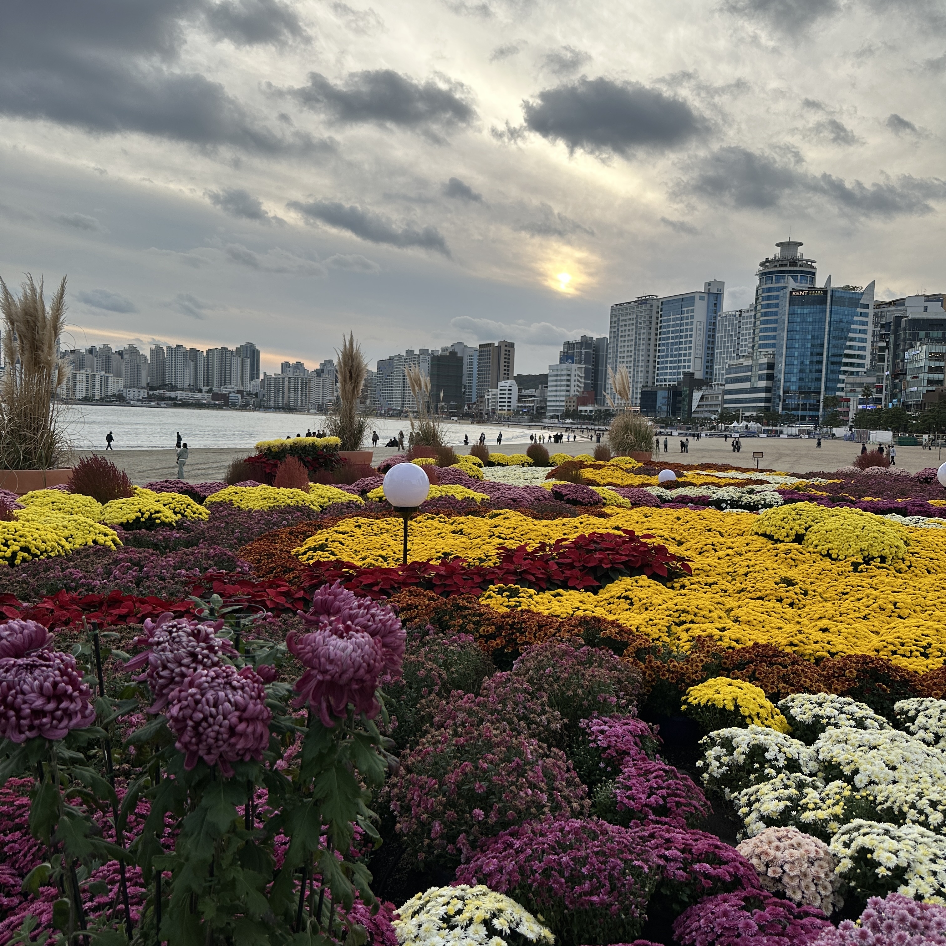 부산광안리국화축제