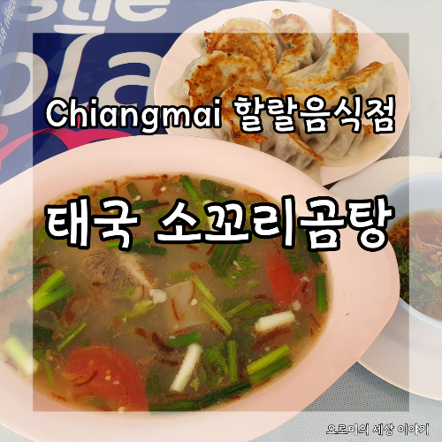  치앙마이 할랄음식점에서 맛본 태국 소꼬리 곰탕 ร้านรสดีอิสลาม