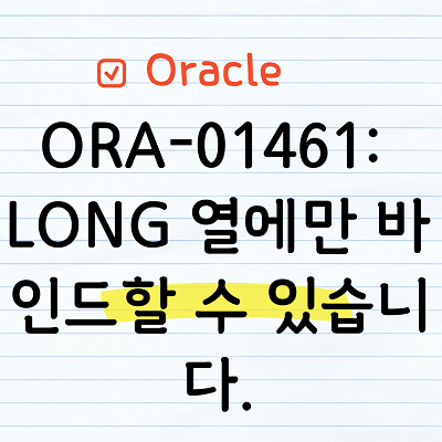 ORA-01461 오라클 오류