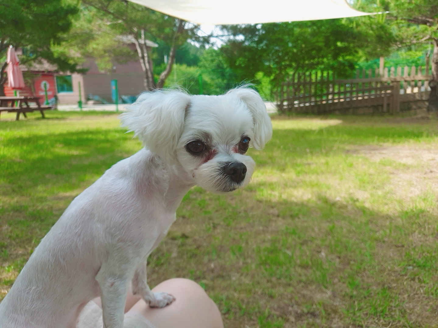  오늘의 일기 ㅠㅠㅠ