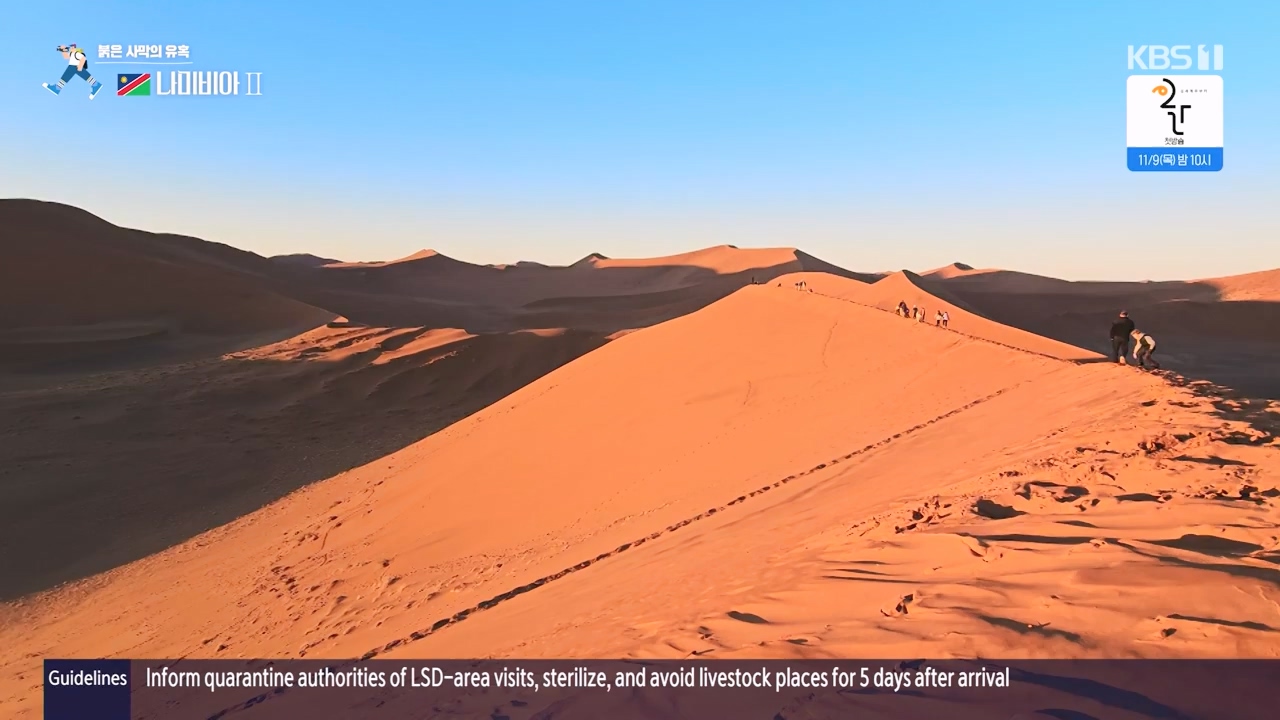 걸어서 세계속으로.E816.231105p-NEXT.mp4_20231104_175435.467.jpg