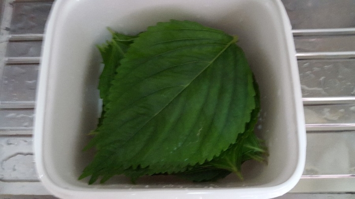 “깻잎”data-ke-mobilestyle=
