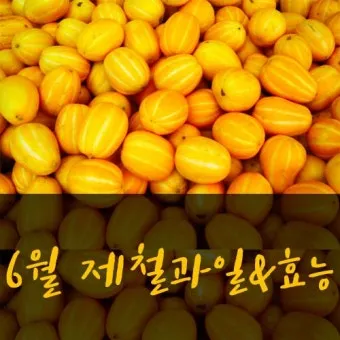 6월 제철 과일 추천 여름 과일 종류_12