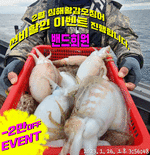지디컴퍼니 이미지