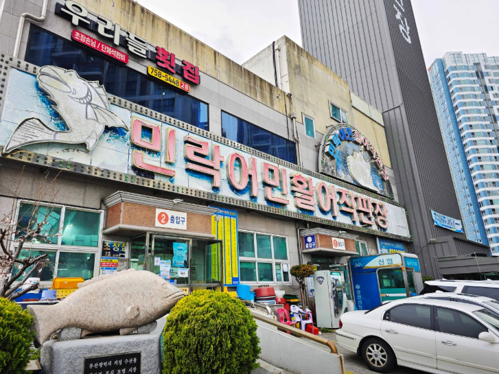광어꾸메 사진 2