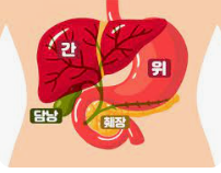 췌장에 이상이 있을 때