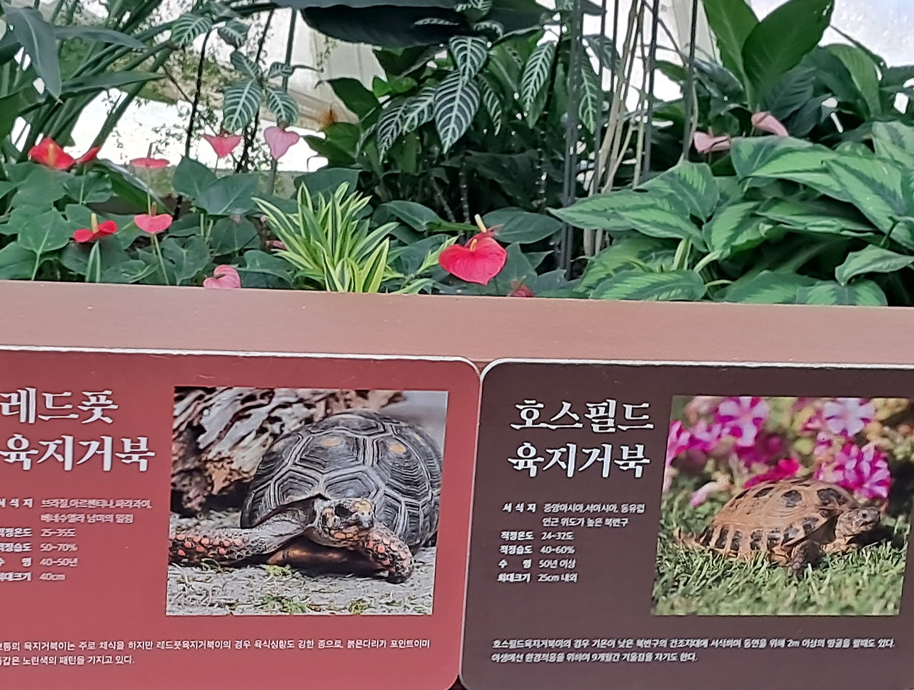 육지 이미지