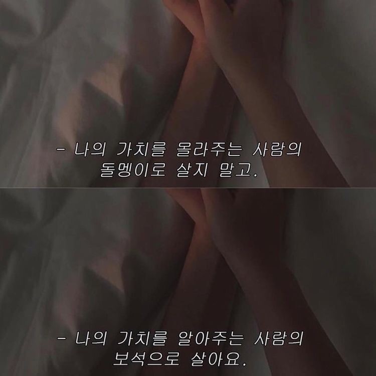  산책이의 목표 1탄-티스토리 블로그로 월 50만원 수익목표(2022년)