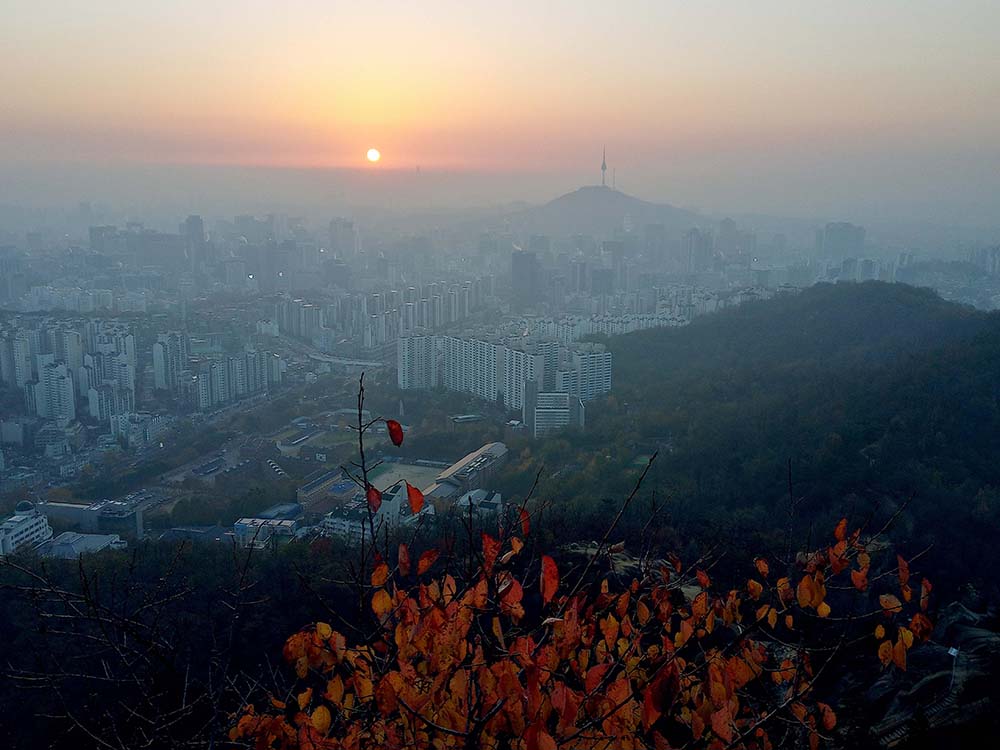 11월 건강한 도전: 10만보 걷기챌린지: 안산봉수대