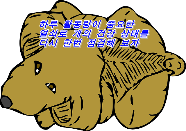  하루 활동량이 중요한 열쇠로 개의 건강 상태를 다시 한번 점검해 보자