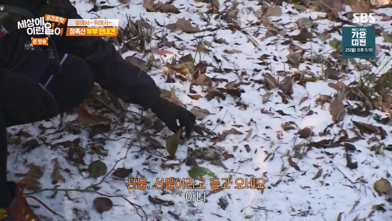순간포착 세상에 이런일이.E1256.231217p-NEXT.mp4_20231217_175017.462.jpg