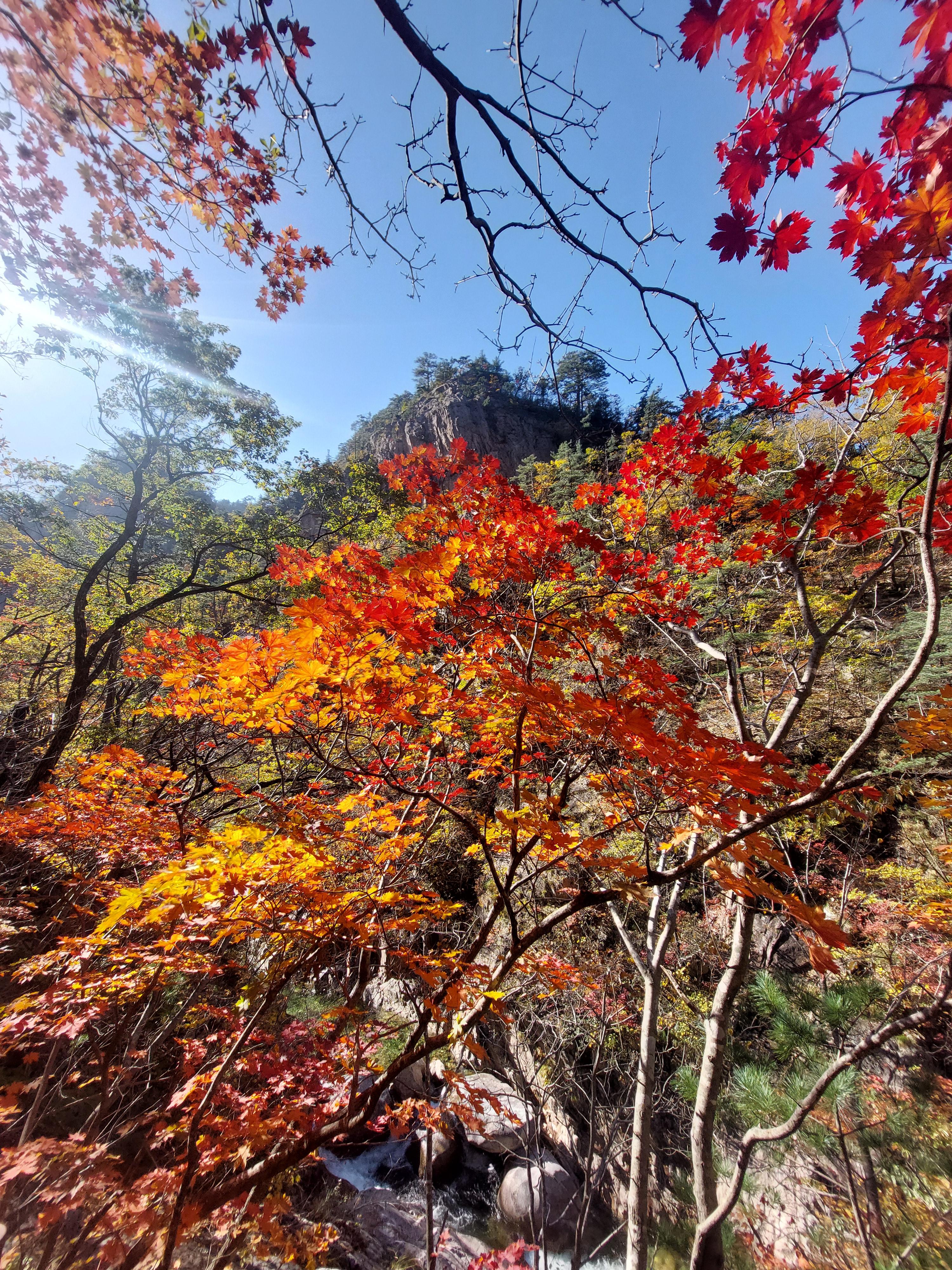 설악산