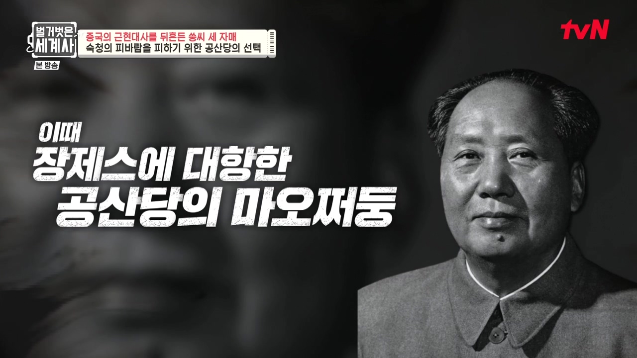 벌거벗은 세계사.E120.231011p-NEXT.mp4_20240513_203255.803.jpg