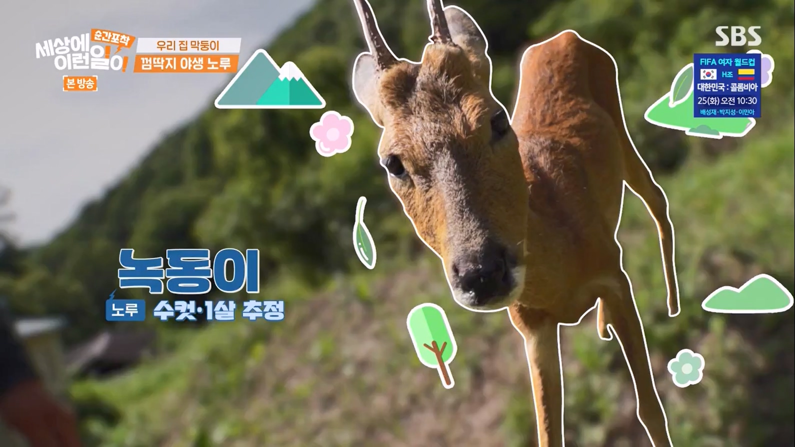 순간포착 세상에 이런일이.E1237.230716p-NEXT.mp4_20230716_171555.174.jpg