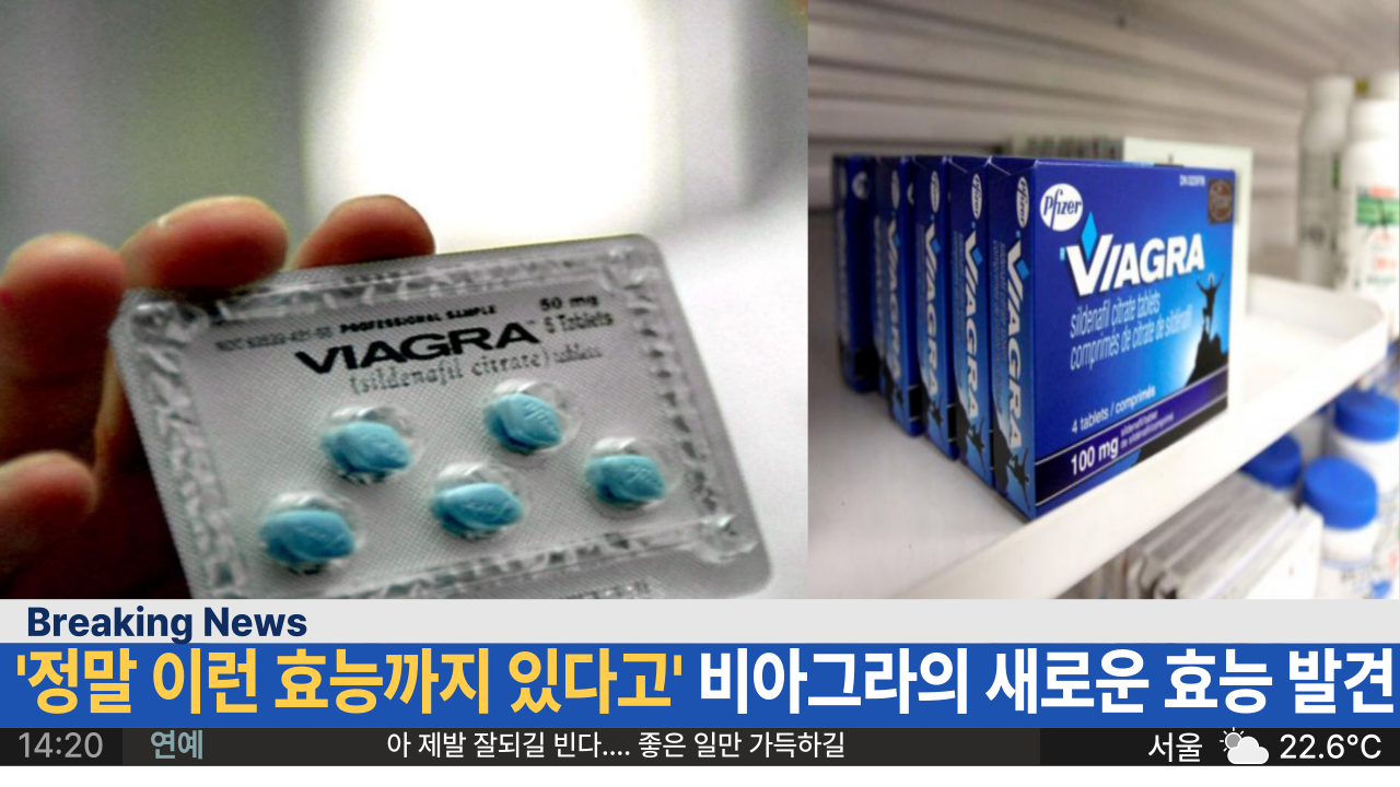  '정말 이런 효능까지 있다고' 비아그라의 새로운 효능 발견