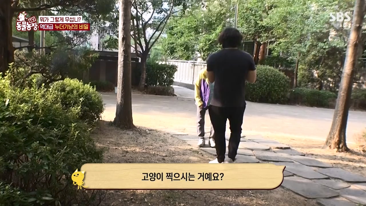 TV 동물농장.E1143.231030p-NEXT.mp4_20231029_164140.793.jpg