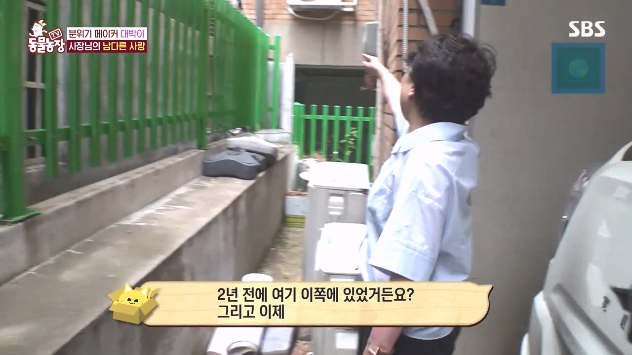 TV 동물농장.E1141.231016p-NEXT.mp4_20231015_174001.999.jpg