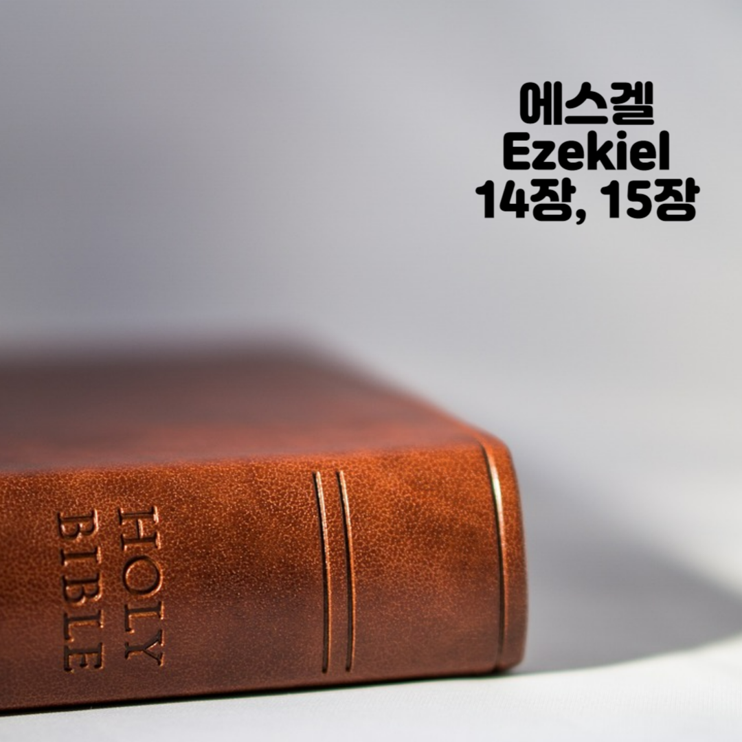 Holy BIBLE 생명의 삶 영어 한글 성경 말씀 - 에스겔(Ezekiel) 14장&#44; 15장