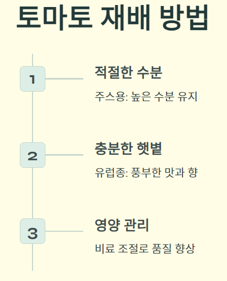 주스용 토마토와 유럽종 토마토 총정리