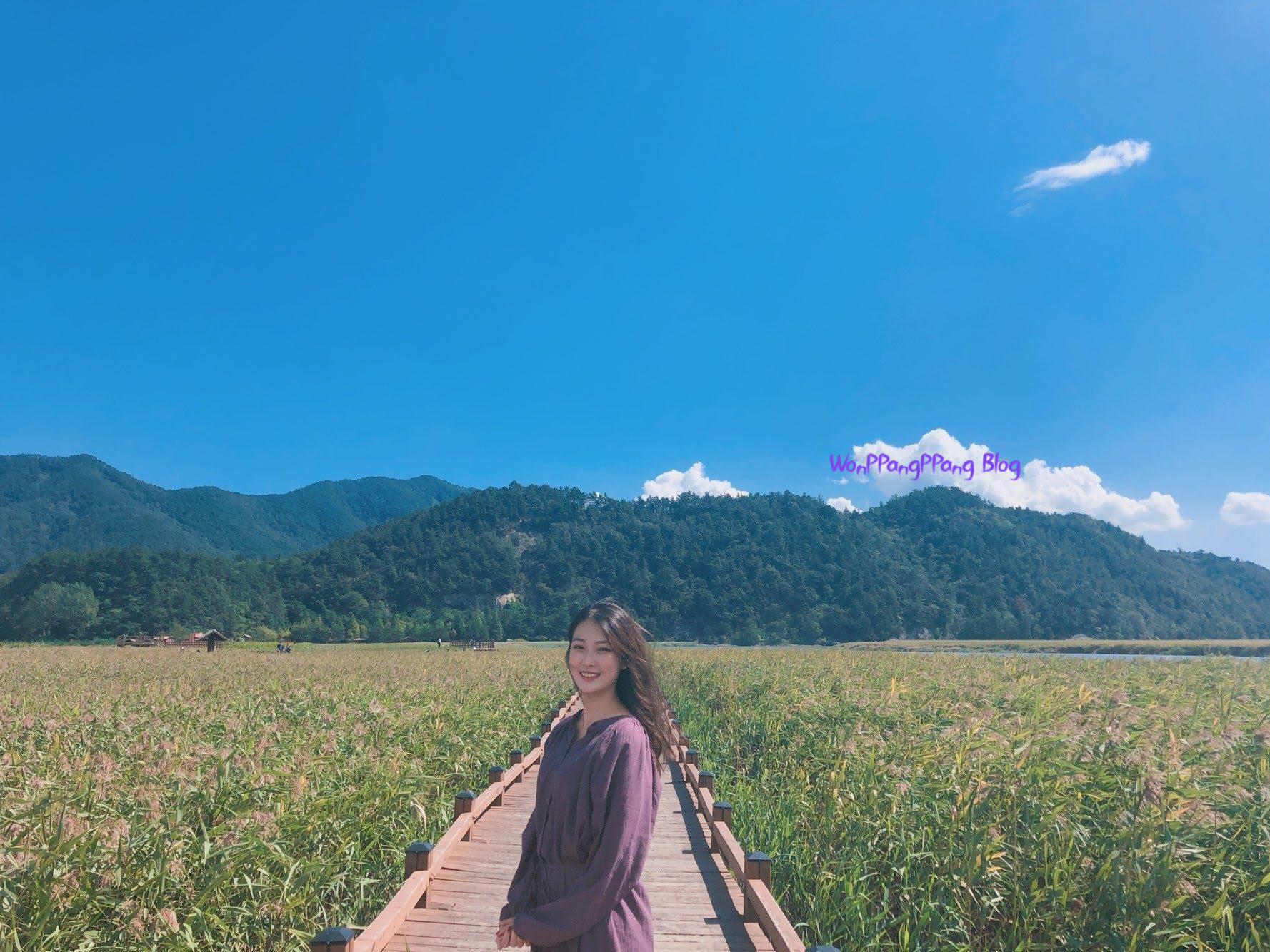  [추억여행] 순천만습지(생태공원) : 용산전망대 : 순천만꼬막정식