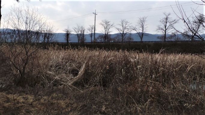 뚝방길 따라 좌우로 늘어선 가로수, 가운데 전신주, 하늘엔 늘어진 전깃줄, 뚝방 아래에는 갈대밭,