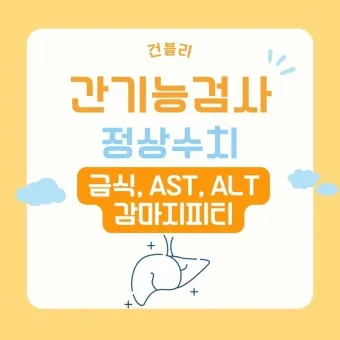 감마지피티 높으면 수치 정상화_16