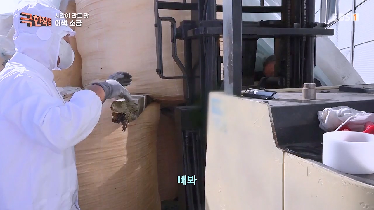 TV - 전 국민의 평생학교 EBS시간이 만든 맛 이색 소금과 훈연 멸치.mp4_20231128_203257.422.jpg