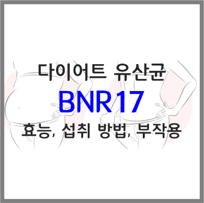  비에날씬 유산균(락토바실러스 가세리 BNR17, 다이어트 영양제) 효능, 섭취방법, 부작용 등 총 정리