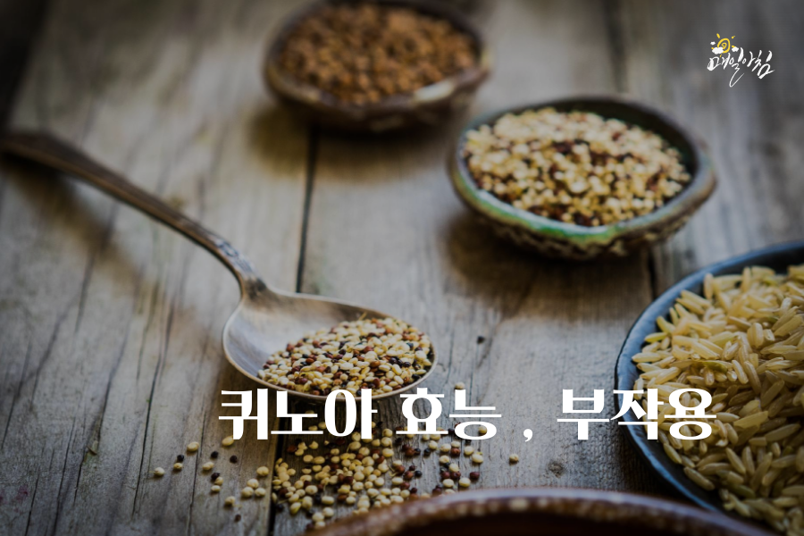  [매일아침좋은글] 퀴노아 효능 , 부작용 알고 드세요~
