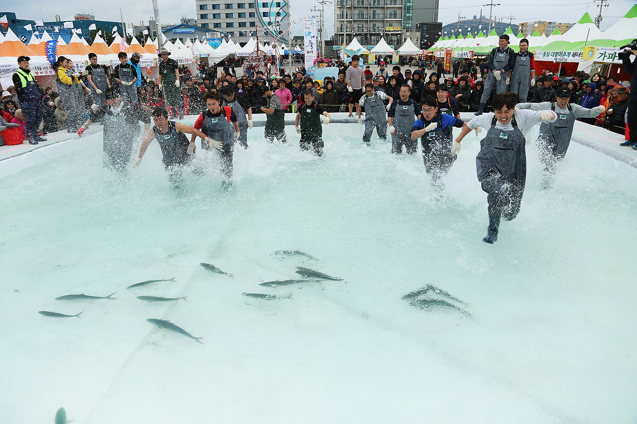 2024년도 제주도 월별 축제 개최 일정 - 11월 2024년도 제주도 월별 축제 개최 일정 - 11월