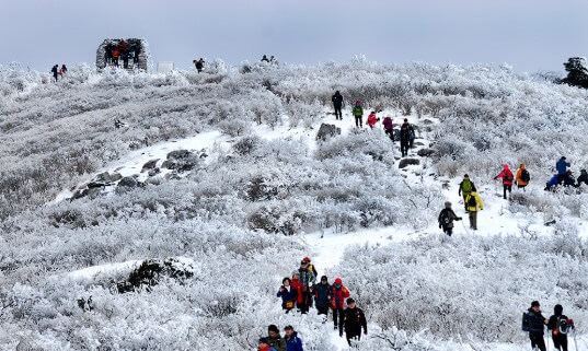 제32회 태백산눈축제 태백산 눈꽃 전국등반대회