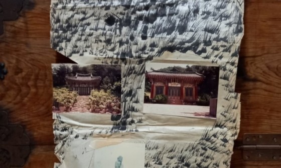 영상일기/20230216/나대자연 71